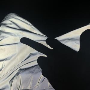 大鸡巴操逼的视频
