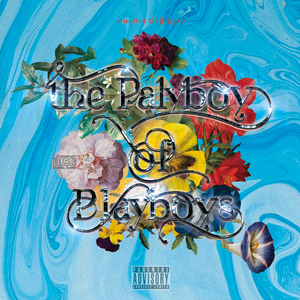 大鸡巴操逼的视频
